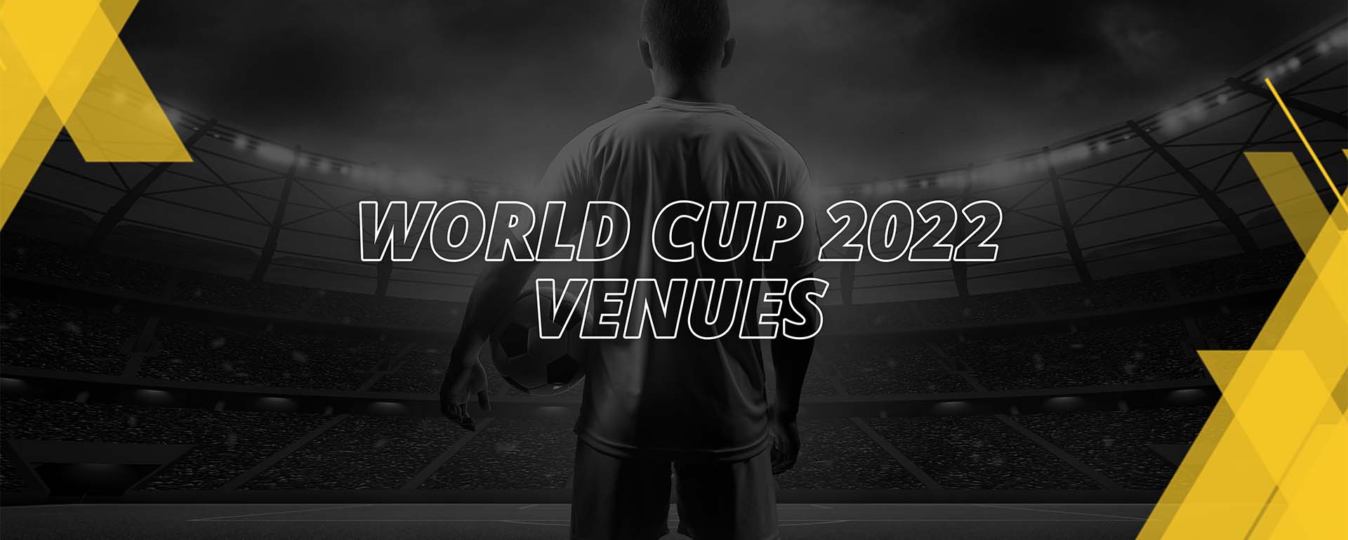 FIFA WORLD CUP 2022: VENUES