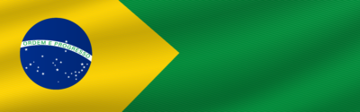 fifa world cup 2022 brazil flag